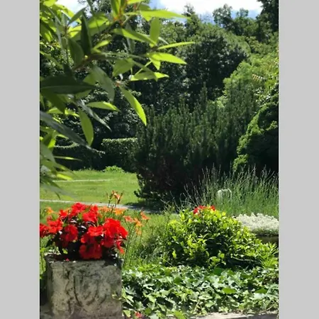 Olivia Con Piscina E Sauna A Pochi Minuti Da Arona