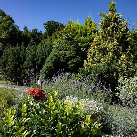 Olivia Con Piscina E Sauna A Pochi Minuti Da Arona Dagnente
